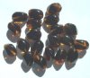20 15x10mm Dark Topaz Tortoise Nuggets